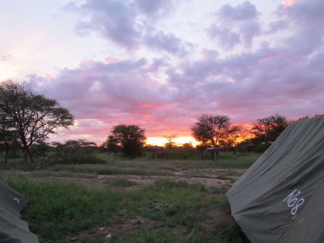 The view behind my tent (theres some hyena's out there somewhere) 