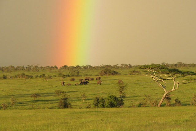 The bottom of the double rainbow on Wednesday with some tembo (elephants) as the pot of gold!