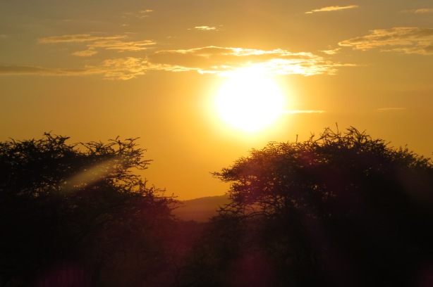 The sunset after Wednesday's game drive 